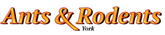 York Ant Exterminator & Rodent Control Company Logo